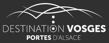 logo de l'ot de st dié