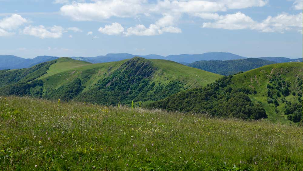 Vue des crêtes vosgiennes